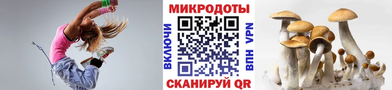 Галлюциногенные грибы Magic Shrooms  Саранск 